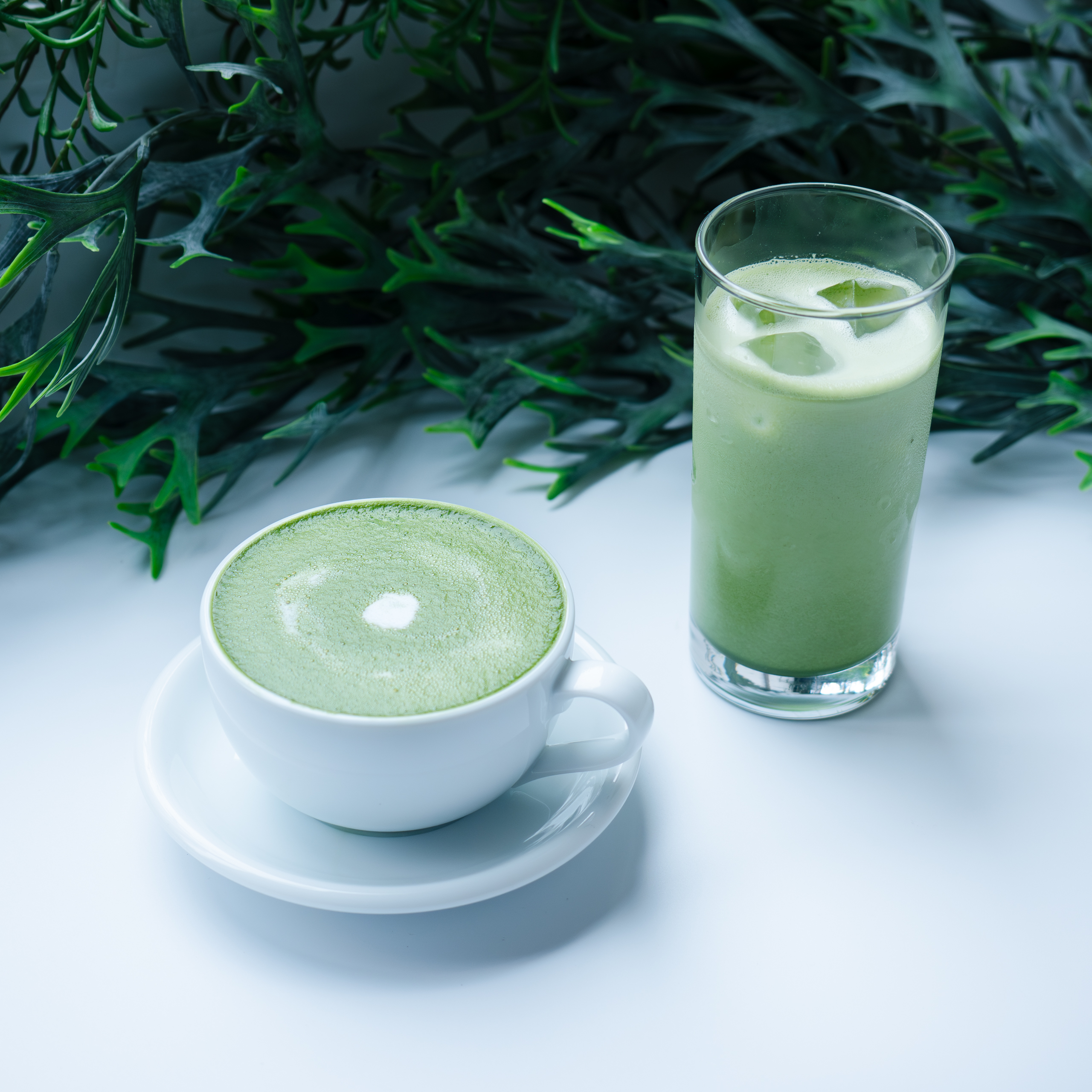 程よい苦味と甘さが魅力の京都宇治抹茶を贅沢に使用した、LILICオススメの抹茶ラテ。
ホットはふわふわなフォームミルクを使用しており、見た目も可愛く、心温まる一杯となっております🥛
